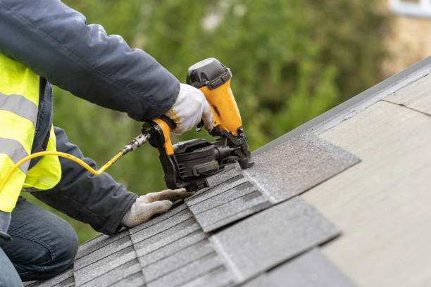 Best Roof Moss and Algae Removal  in Taylors Falls, MN