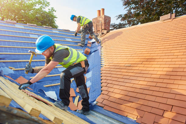 Best Roof Maintenance and Cleaning  in Taylors Falls, MN